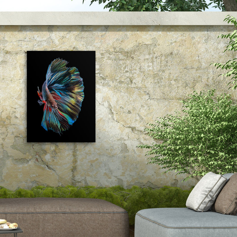 Andi Halil, le poisson Betta sur toile, H 32 po x l 24 po