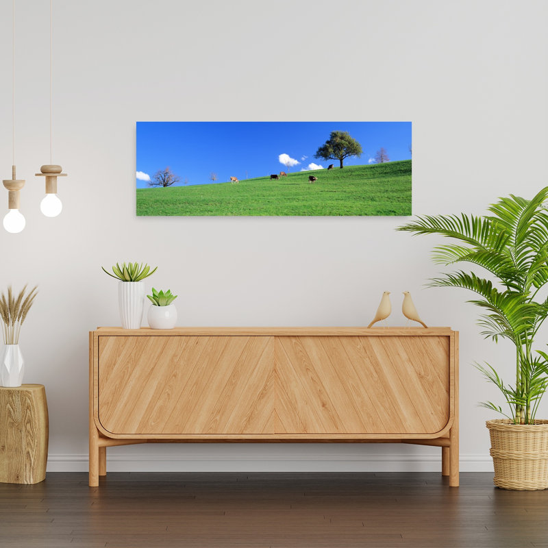 Cows Canton Zug Switzerland by Bo Brännhage - Wrapped Canvas Panoramic Print, 30.48 cm H x 91.44 cm W