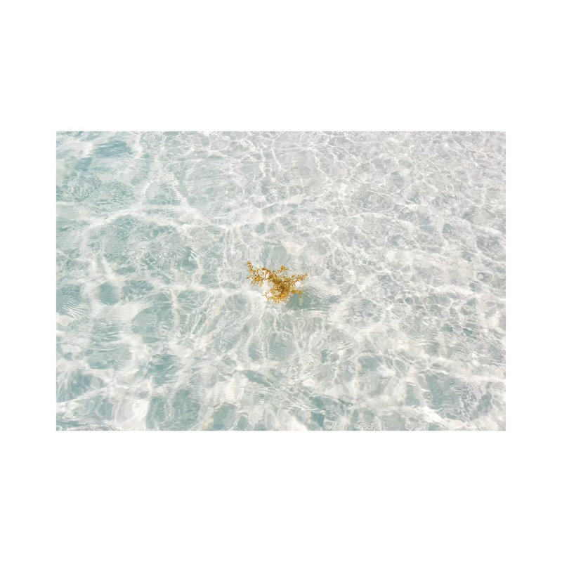 Florida White Sand by Bethany Young - Print on Canvas, Wrapped Canvas, 30.48cm H x 45.72cm W x 1.91cm D