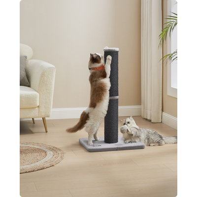 Tacha Scratching Post