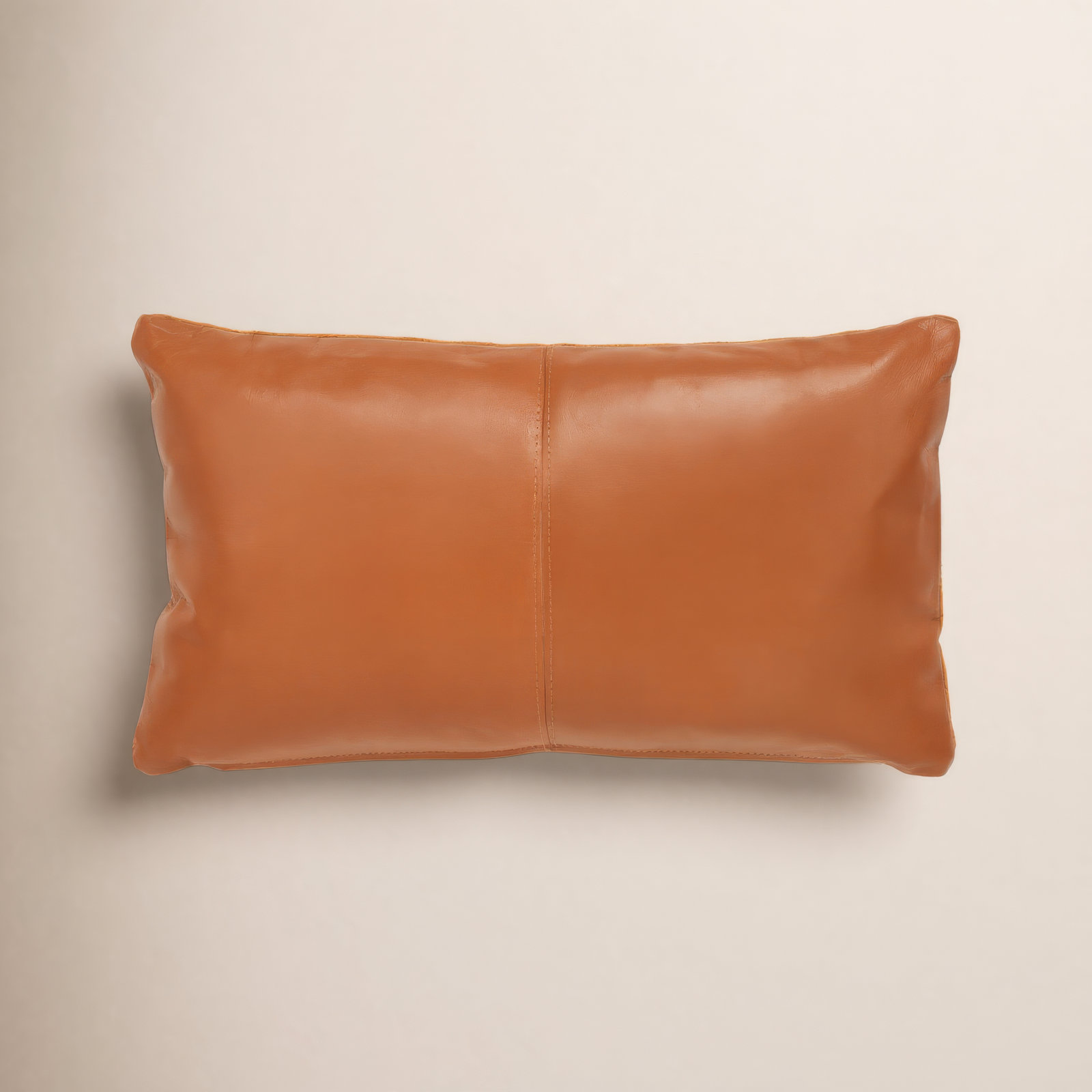 Darryn 20" x 12" Leather Throw Pillow