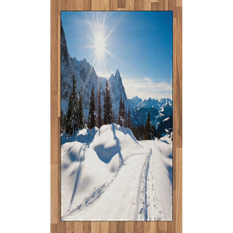 Tapis décoratif en fibres à haute densité Winter Winter, Rectangle 2 pi 7 po x 5 pi