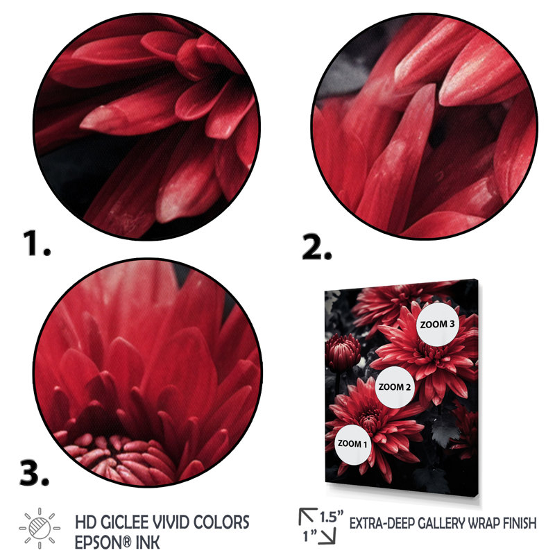 «Red Gray Mums Spendor», reproduction sur toile, Cadre flottant blanc, H 20 po x l 12 po x P 1 po