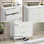 Commode Luna 5