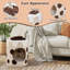Asrani Cat Perch-314166537