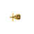 Unlacquered Brass