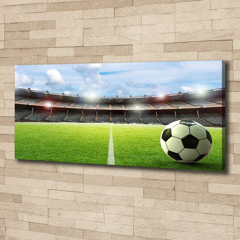 Ball on Canvas Turf 1 Piece Wrapped Canvas Wall Art