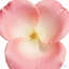Arrangement floral artificiel-1173083199-1173083329