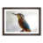 Walnut Framed