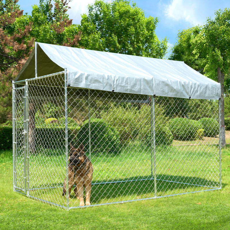 Metal Yard Kennel
