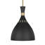 Luminaire suspendu en forme de cloche à 1 lumière Joan-73293985-73293984