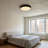 Caprice Acrylic LED Flush Mount-87409046