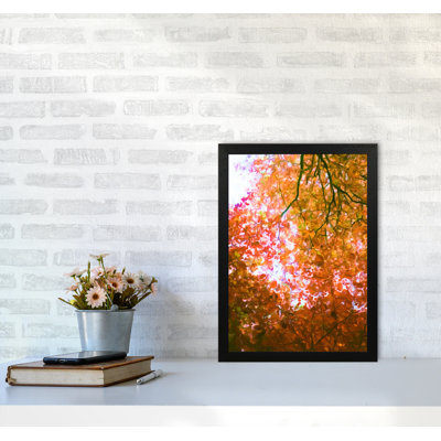 Autumn Leaves - Print