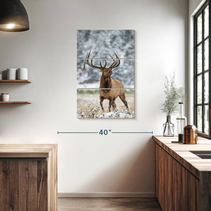Élan des neiges Brampt, H 38 po x l 24 po