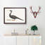 Water Bird by Johan Teyler - Picture Frame Art Print-55761621-55761623