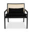 Modern Brazilian Lounge Chair-1046896064