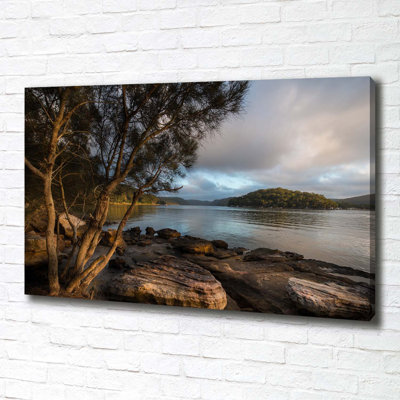 Tree By The River - Wrapped Canvas Print