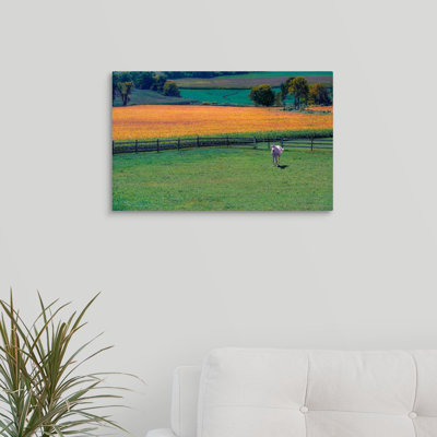 " Amish Country " by Steven Maxx