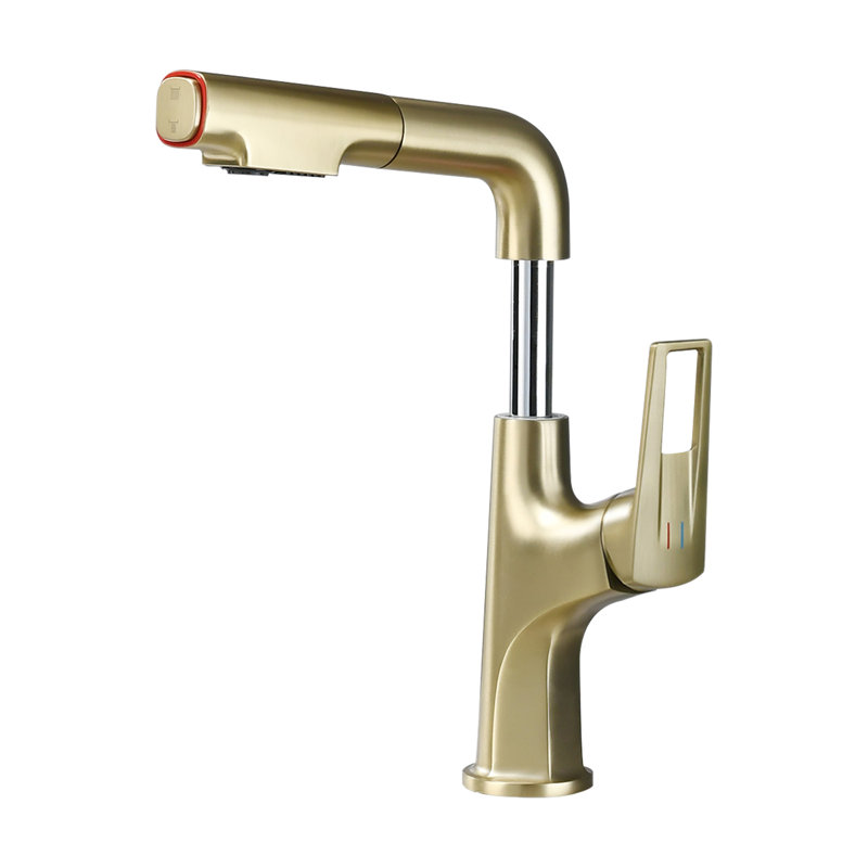 Robinet de lavabo de salle de bain rétractable à poignée simple en acier inoxydable Topcraft avec bec relevable et modes de jet doubles