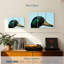 Canard colvert en gros plan-108159700