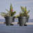 Classic Deck Rail Traditional Plastic Indoor/Outdoor Round Planter-253798266-219984326