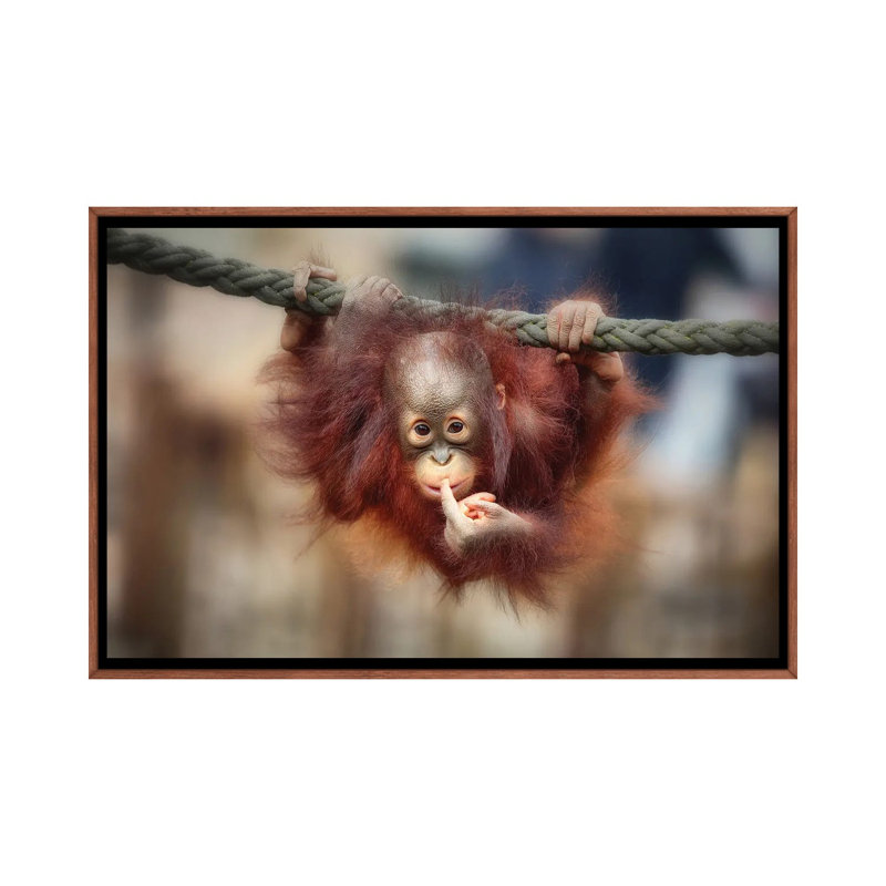 The Big Query by Antje Wenner-Braun - Floater Frame Print on Canvas, Brown Floater Framed, 66.04 cm H x 45.72 cm W