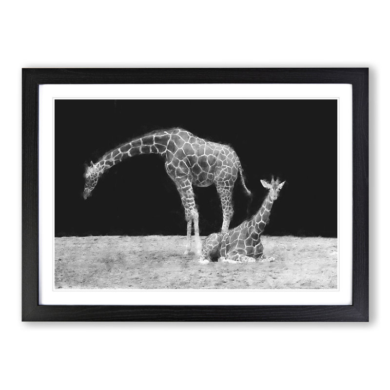 Two Giraffes Vol.3 - Framed Print, Black Framed, 48cm H x 65cm W x 2cm D