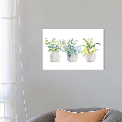 Decorative Plant Arrangement I by Lanie Loreth - Wrapped Canvas Painting