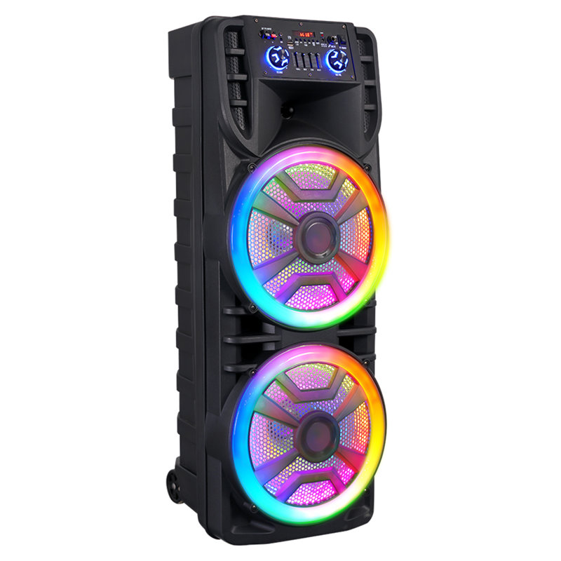 Double haut-parleur de caisson de basses 12 po