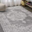Tapis gris / gris foncé Verano Cottage Medallion-572685958