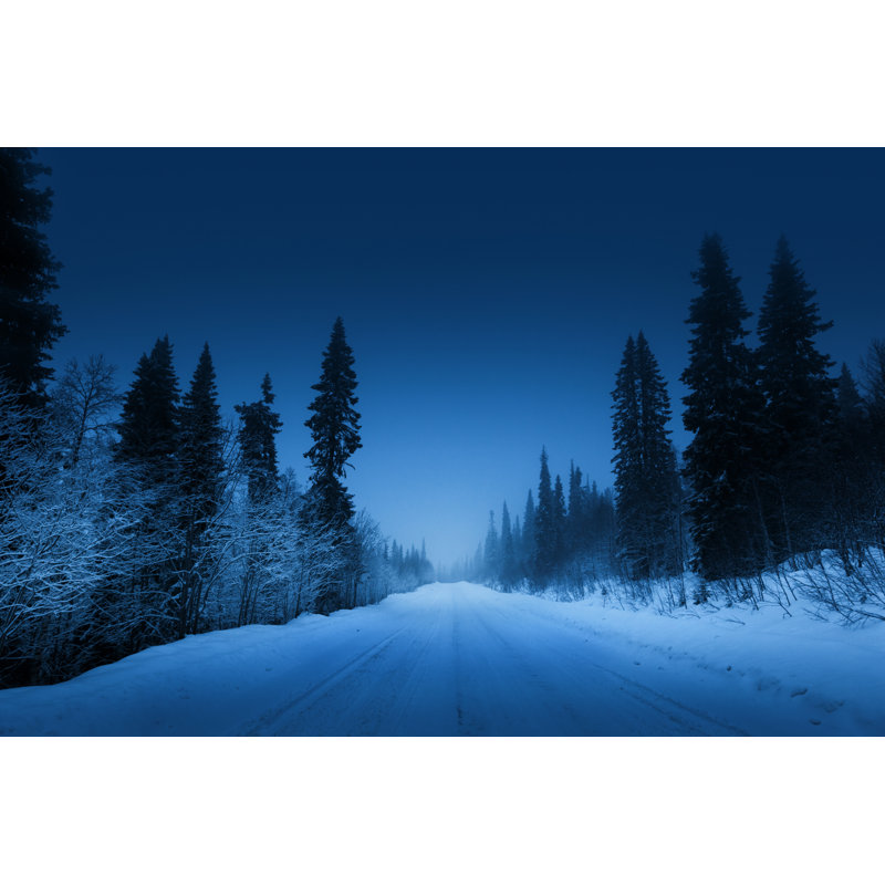 Winter Forest - Wrapped Canvas Print, 30cm H x 46cm W x 3.8cm D