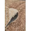 Aquille Rectangle 13'4" X 19'2" Area Rug