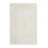 Oriental Indoor Rug