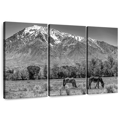 Alvord Monochrome Sierra Nevada