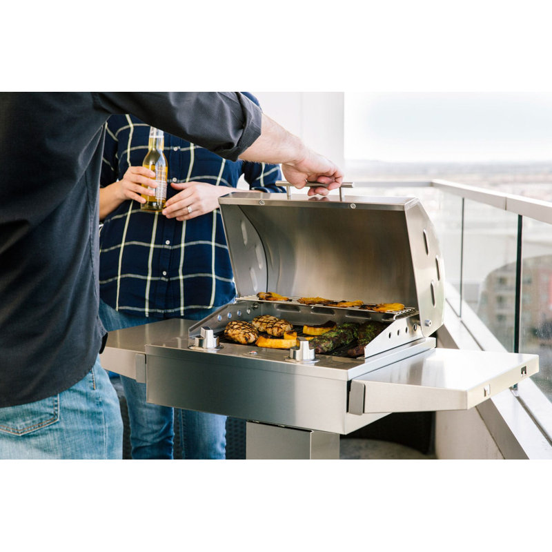 Electric Grill With Pedestal Stand