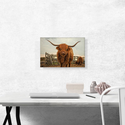 " Highland Cow Cattle Stable "