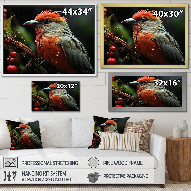 Photographie d'un oiseau tropical orange sur une branche, Cadre naturel flottant, H 16 po x l 32 po x P 1 po