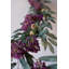 BOTANICA # 9022