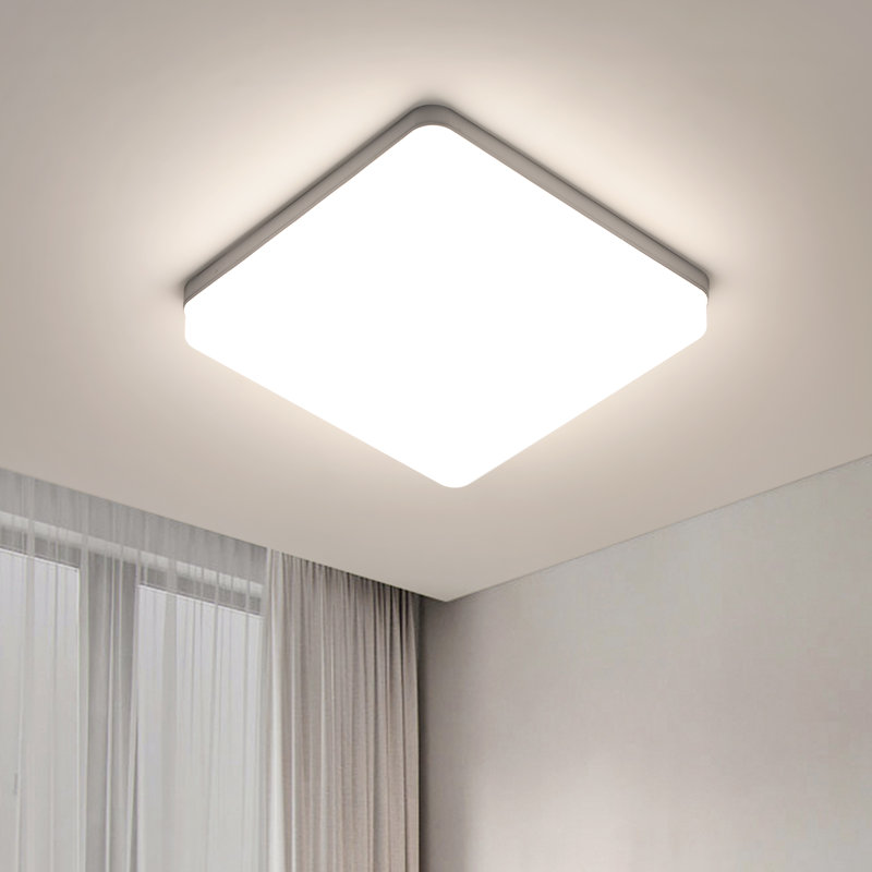 Darrant Acrylic LED Flush Mount