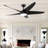 60'' Ceiling Fan With Light