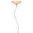 FL/Y Pendant-101885714