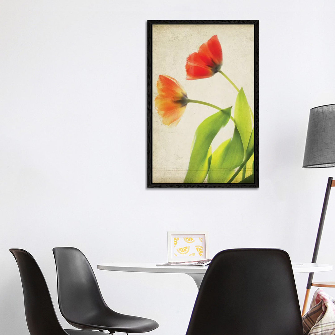 Pergamentblumen VI von Judy Stalus - Galerie-verpackte Leinwand Giclée auf Leinwand