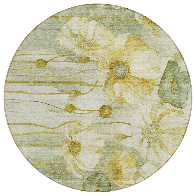  Emblyn Area Rug, Round 8'