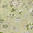 Tapis intérieur / extérieur ACY1006 Aloe-99105669