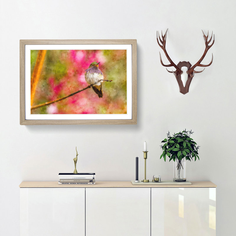 Hummingbird - Picture Frame Graphic Art Print, 27cm H x 36cm W x 2cm D, Oak Framed
