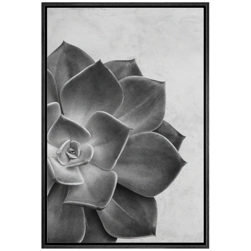 Gros plan sur une plante grasse dans le désert en gris en noir et blanc, Noir, H 36 po x l 24 po