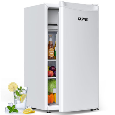 FXSGER Mini Fridge