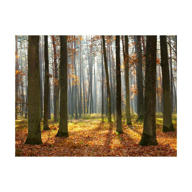 Dasmon Wall Mural, 121" L x 157" W