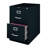 18'' Wide 2 -Drawer Steel File Cabinet-3904376