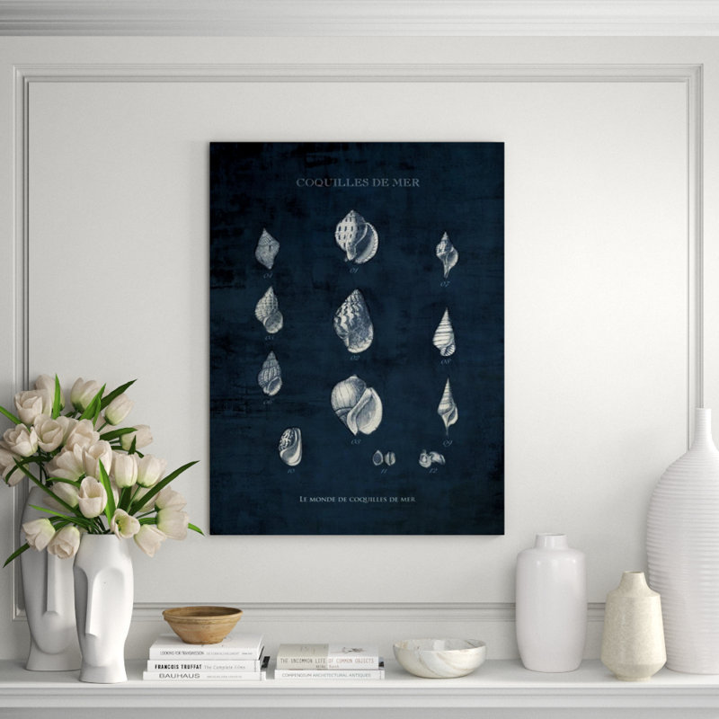 «Le Monde de Coquilles II» par Sofia Fox - reproduction de dessin, Plexi, H 40 po x l 30 po x P 1,5 po